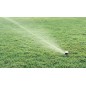 Aspersor Rain Bird MaxiPaw 1/2 y 3/4" Aspersor Rain Bird MaxiPaw 1/2 y 3/4"