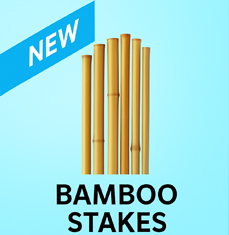 Bamboo stakes
