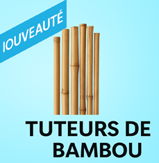 Tuteurs de Bambou