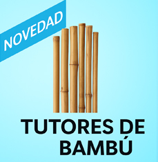 Tutores de bambú